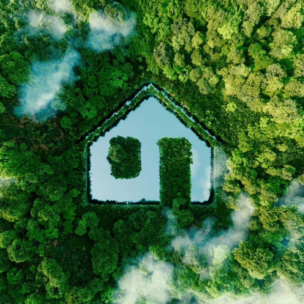 darstellung eines waldes von oben, es ist ein gewässer in form eines hauses zu sehen